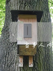 当事人涉及多项违法行为