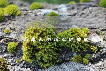 当事人的诉讼地位和作用