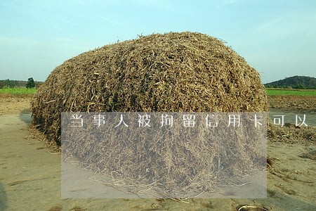 当事人被拘留信用卡可以逾期吗
