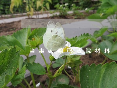 当事人调取法院材料 当事人调取法院材料