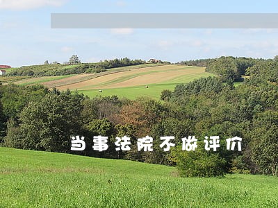 当事法院不做评价 当事法院不做评价