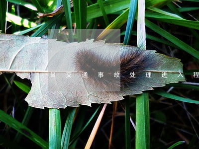 当交通事故处理进入程序 当交通事故处理进入程序