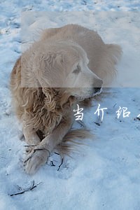 当介绍人能做牢 当介绍人能做牢