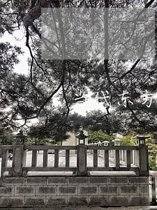 当代东方逾期贷款 当代东方逾期贷款