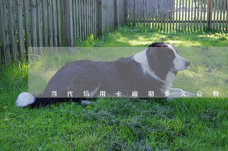 当代信用卡逾期多久会有案底 当代信用卡逾期多久会有案底