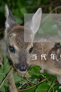 当代年轻人信用卡逾期 当代年轻人信用卡逾期