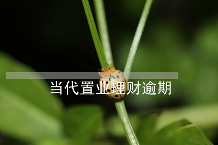 当代置业理财逾期