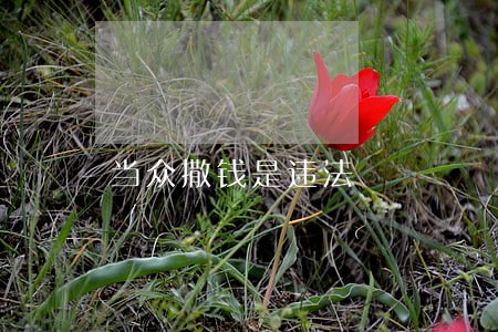 当众撒钱是违法 当众撒钱是违法