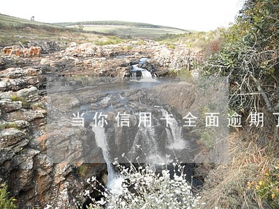 当你信用卡全面逾期了 当你信用卡全面逾期了