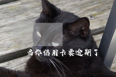 当你信用卡要逾期了 当你信用卡要逾期了