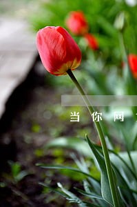 当你网贷全面逾期怎么办 当你网贷全面逾期怎么办