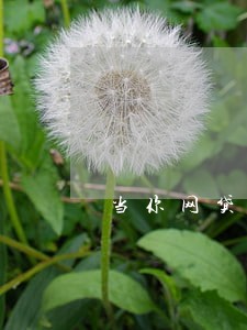 当你网贷逾期 当你网贷逾期