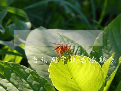 当信用卡快要逾期怎么办 当信用卡快要逾期怎么办