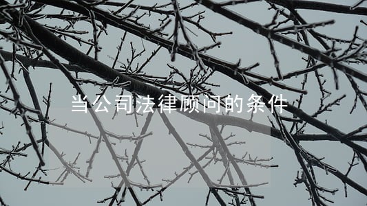 当公司法律顾问的条件 当公司法律顾问的条件