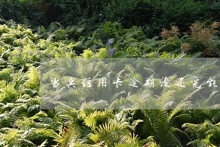 当兵信用卡逾期没还完能让走吗 当兵信用卡逾期没还完能让走吗