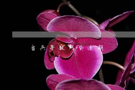 当兵导致网贷逾期 当兵导致网贷逾期