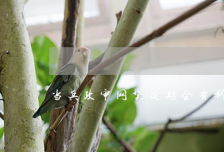 当兵政审网贷逾期会有影响吗