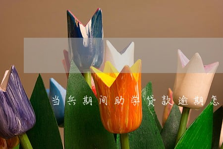 当兵期间助学贷款逾期怎么办 当兵期间助学贷款逾期怎么办