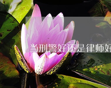 当刑警好还是律师好 当刑警好还是律师好