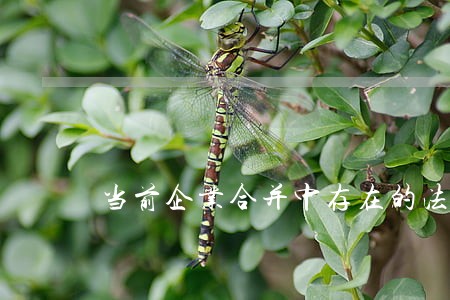 当前企业合并中存在的法律问题 当前企业合并中存在的法律问题