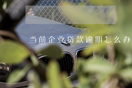 当前企业贷款逾期怎么办 当前企业贷款逾期怎么办