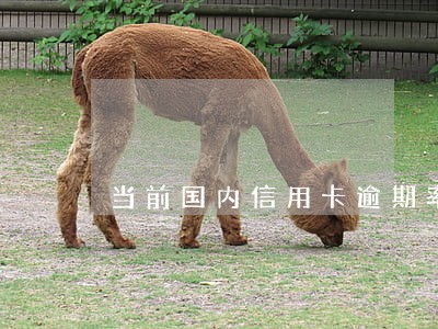当前国内信用卡逾期率 当前国内信用卡逾期率