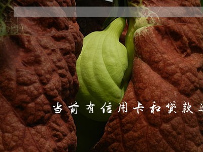 当前有信用卡和贷款逾期 当前有信用卡和贷款逾期