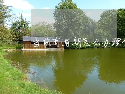 当前有逾期怎么办理信用卡 当前有逾期怎么办理信用卡
