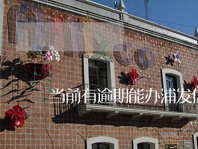 当前有逾期能办浦发信用卡吗 当前有逾期能办浦发信用卡吗