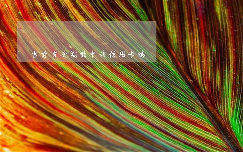 当前有逾期能申请信用卡吗 当前有逾期能申请信用卡吗
