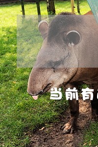 当前有逾期能申请恒丰信用卡吗 当前有逾期能申请恒丰信用卡吗