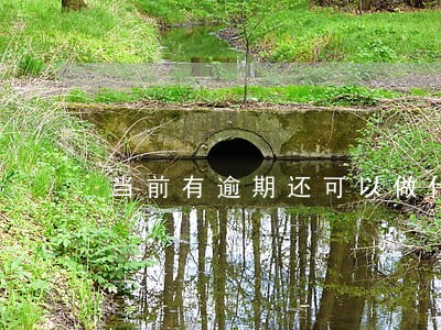 当前有逾期还可以做什么网贷