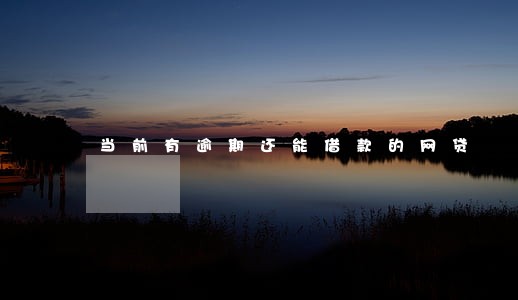当前有逾期还能借款的网贷