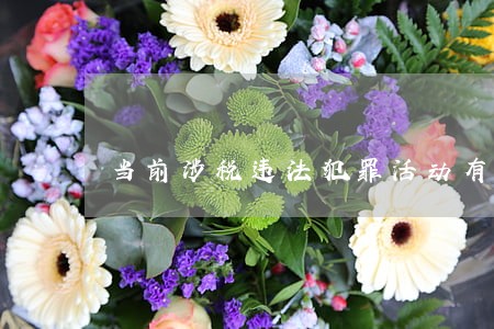 当前涉税违法犯罪活动有哪些特点