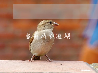 当前网贷逾期 当前网贷逾期