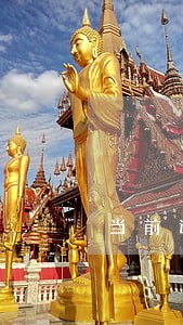 当前逾期1一年贷款 当前逾期1一年贷款