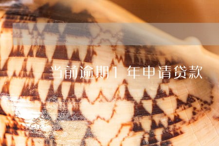 当前逾期1年申请贷款 当前逾期1年申请贷款