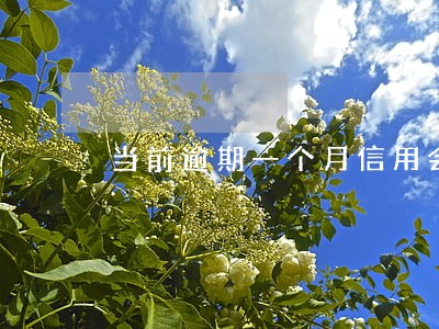 当前逾期一个月信用会黑吗 当前逾期一个月信用会黑吗