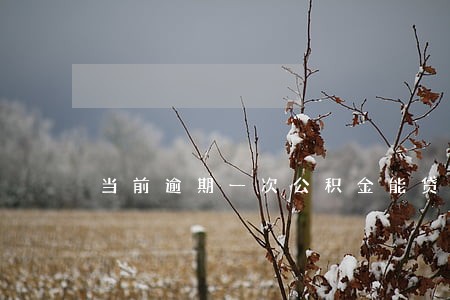 当前逾期一次公积金能贷款吗 当前逾期一次公积金能贷款吗
