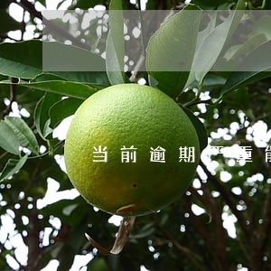 当前逾期严重能贷款吗 当前逾期严重能贷款吗