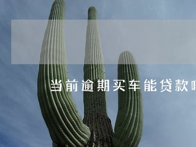 当前逾期买车能贷款吗 当前逾期买车能贷款吗