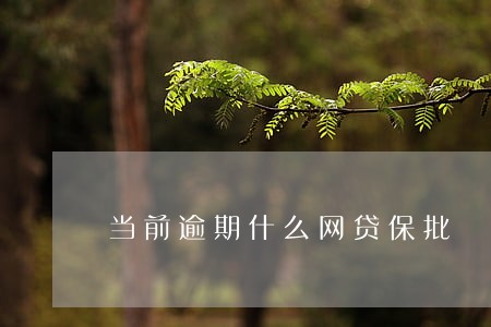 当前逾期什么网贷保批 当前逾期什么网贷保批