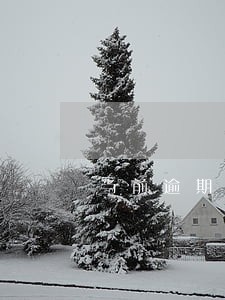当前逾期信用卡能提额吗 当前逾期信用卡能提额吗