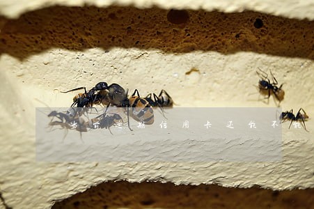 当前逾期信用卡还能不能刷 当前逾期信用卡还能不能刷