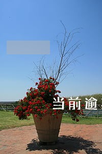 当前逾期公积金贷款利率 当前逾期公积金贷款利率
