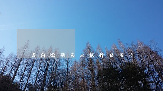 当前逾期农业银行信用卡