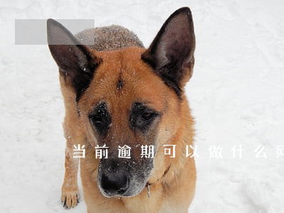 当前逾期可以做什么网贷
