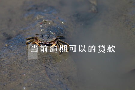 当前逾期可以的贷款