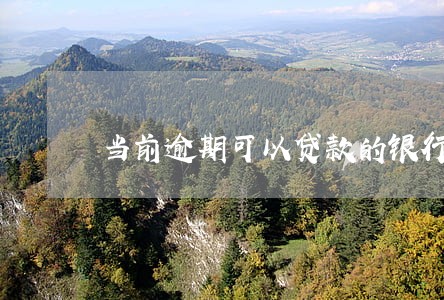 当前逾期可以贷款的银行 当前逾期可以贷款的银行