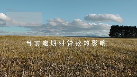 当前逾期对贷款的影响 当前逾期对贷款的影响